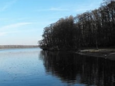 Rezerwat przyrody w Lucieniu