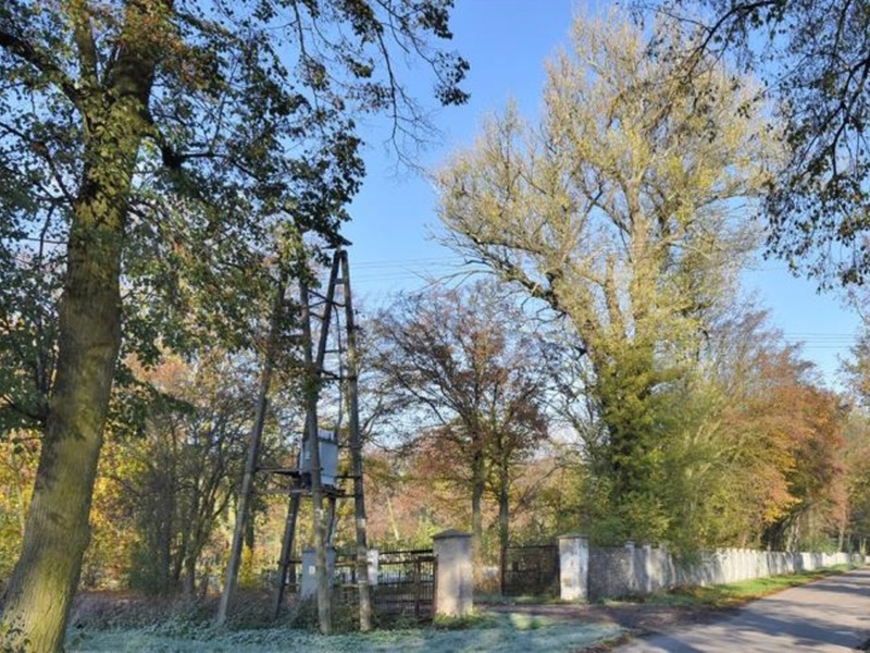 Park krajobrazowy w zespole pałacowo-parkowym w Sokołowie