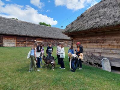 Skansen