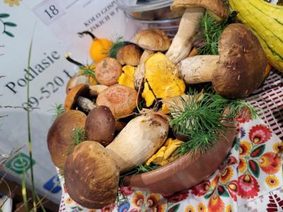 18. Festiwal Folkloru i Kultury Ziemi Kujawskiej i Mazowieckiej