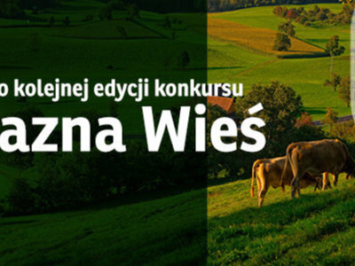 Przyjazna Wieś 2025 rok