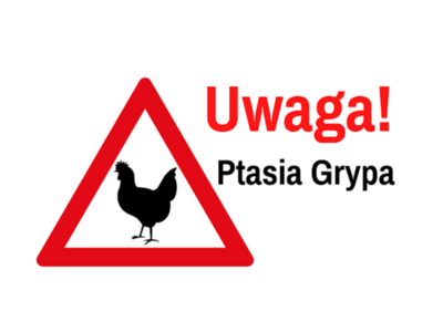 Ptasia grypa - logo