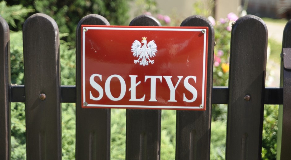 sołtys