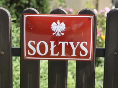 sołtys
