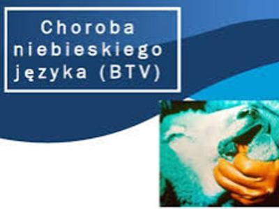 logo niebieski język