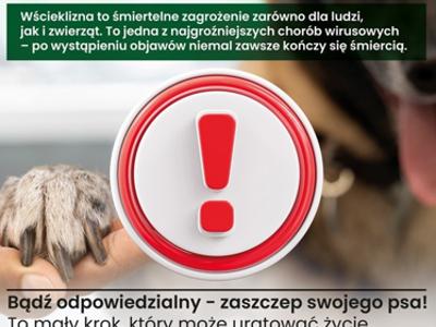 szczepienie psów