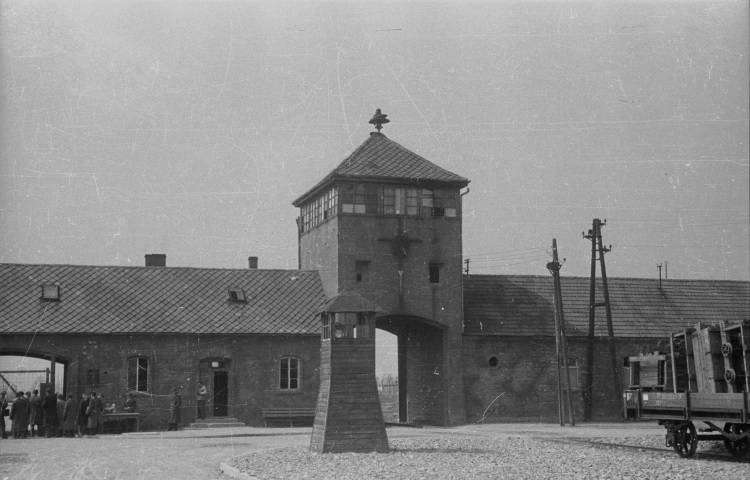 aushwitz.jpg [750x480]