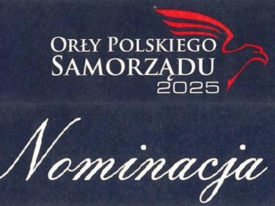 Orły polskiego samorządu - logo
