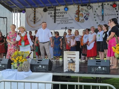 Wystąpienia