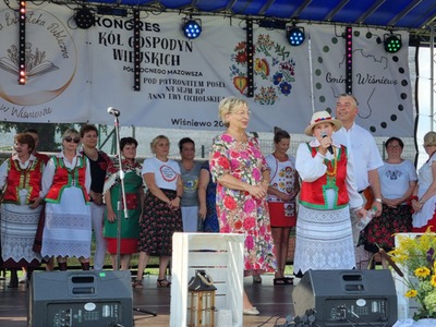 Wystąpienia