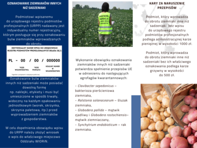 Rejestracja producentów ziemniaków 2