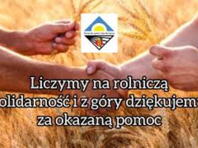 zdjęcie - zbiórka zboża