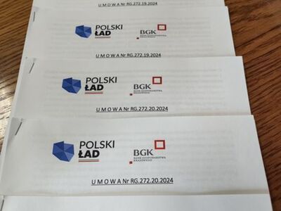 Polski Ład - zdjęcie