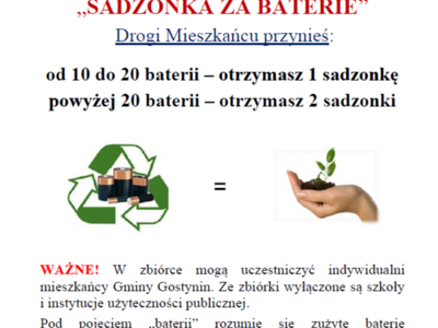 Sadzonki