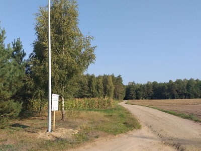 zdjęcie 5