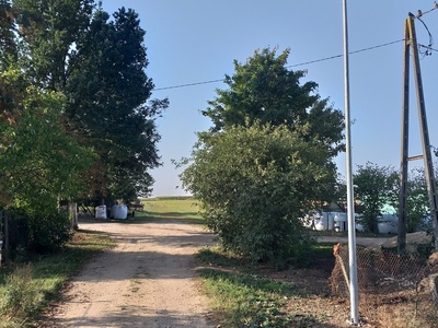 zdjęcie 3