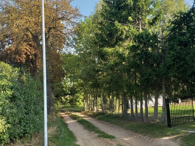 zdjęcie 4