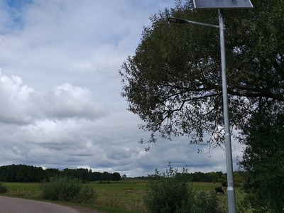zdjęcie 3