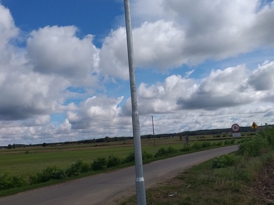 zdjęcie 1