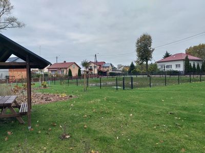 Zdjęcie 1