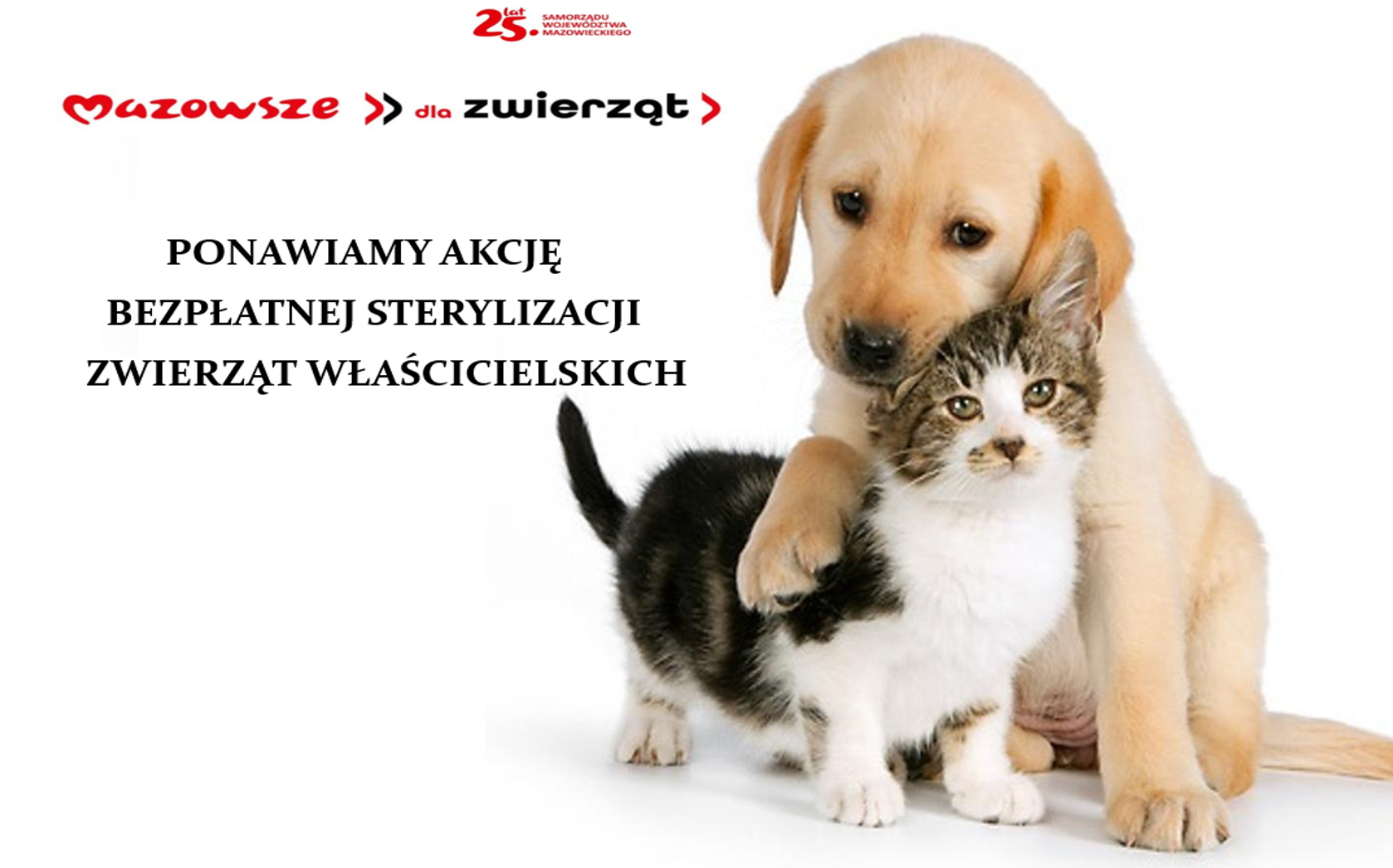 sterylizacja