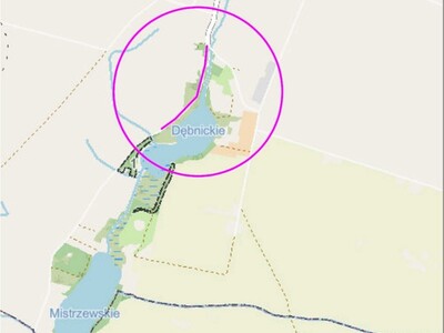 Mapa poglądowa miejscowości Dębnica