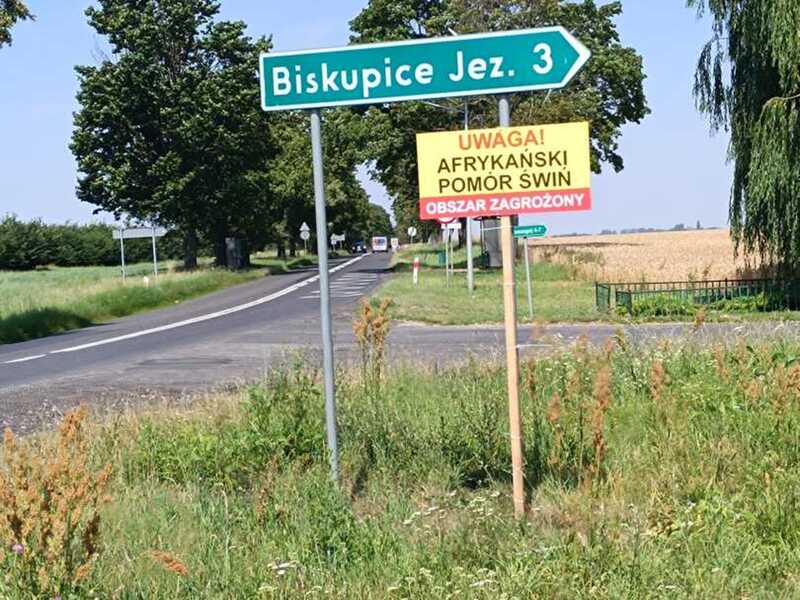 Tablica Afrykański Pomór Świń