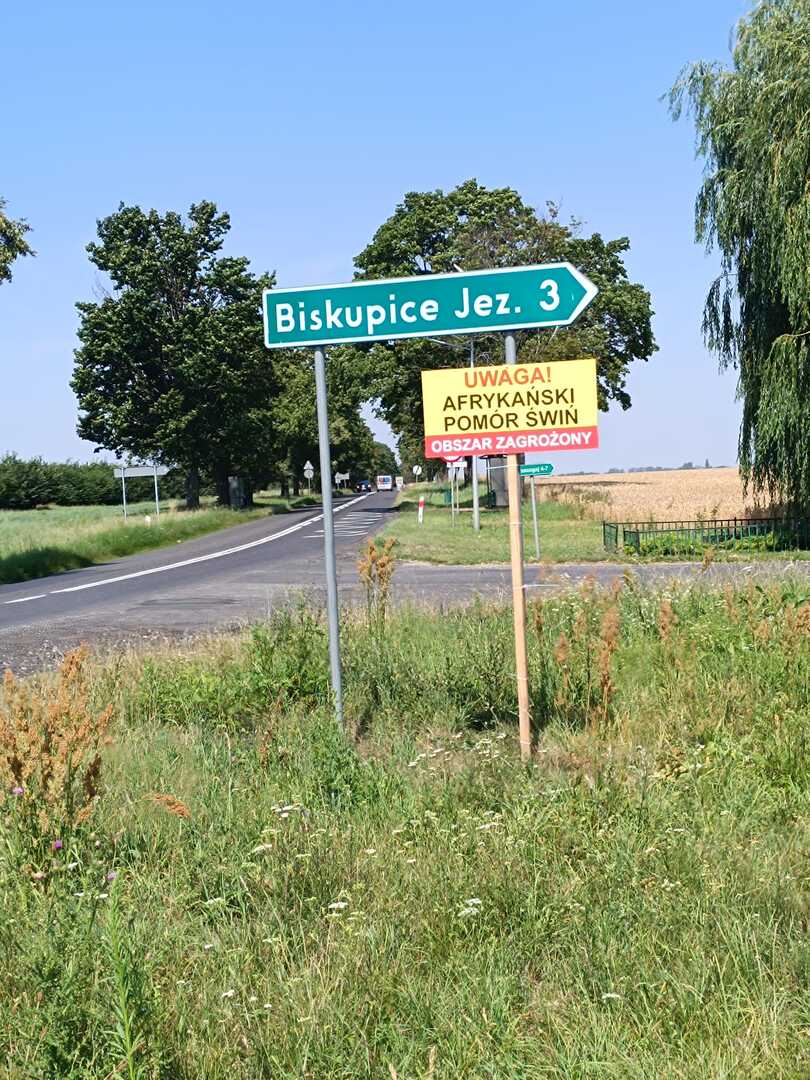 Tablica Afrykański Pomór Świń
