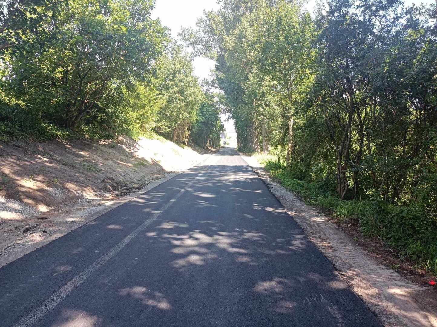 Przebudowa drogi  Dębnica - Owieczki 