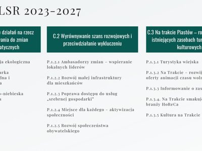 LGD “Trakt Piastów” i LSR – główne cele, zasady i procedury