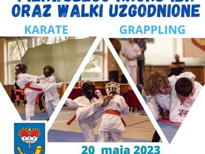 Mistrzostwa Pierwszego Kroku oraz Walki Uzgodnione