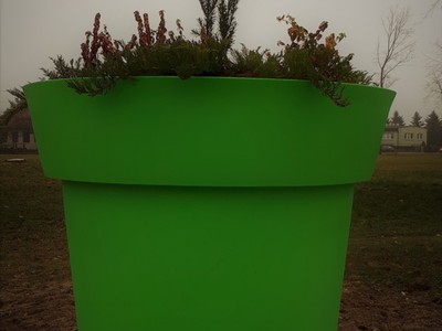 20171220_102757_2.jpg[small]