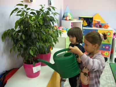 broszki_3.jpg[small]