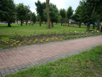 dsc08940.jpg[small]