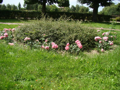 dsc09161.jpg[small]