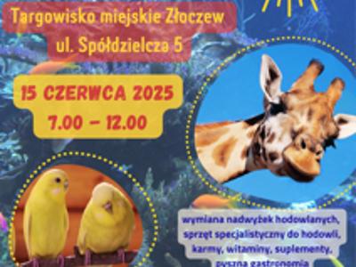 plakat giełda