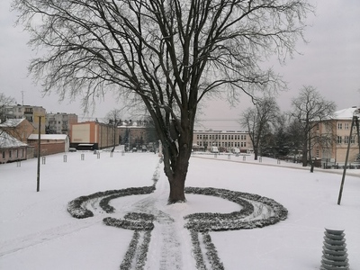 śnieg