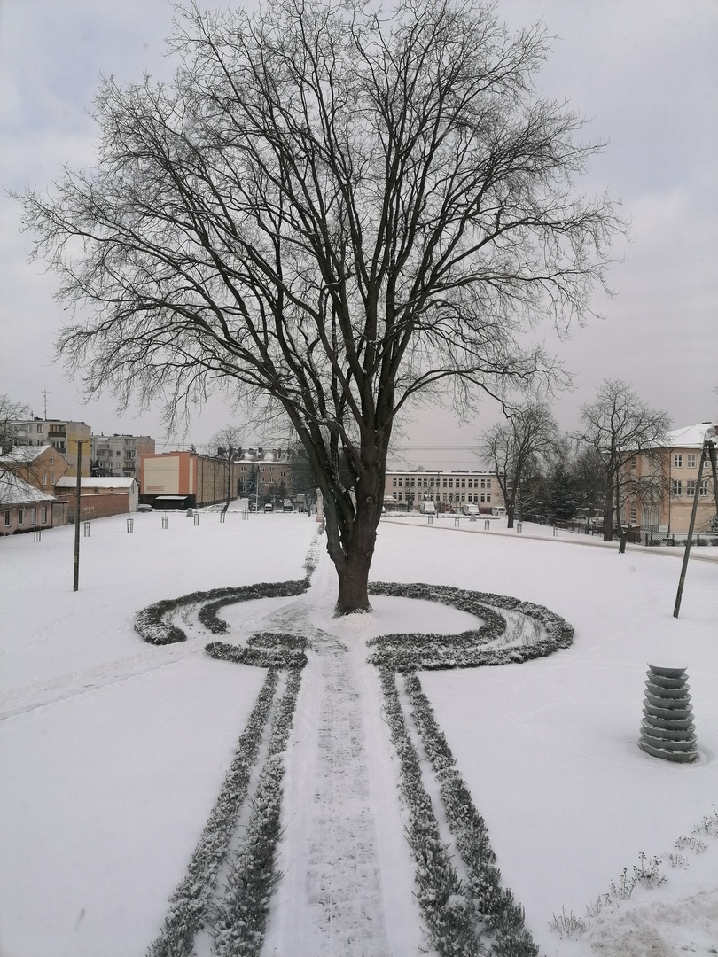 śnieg