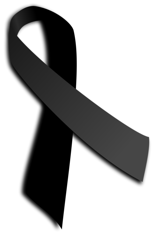 zdjęcie pochodzi ze strony pl.wikipedia.org