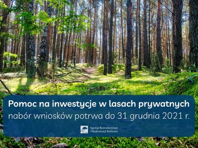 Pomoc na inwestycje w lasach prywatnych