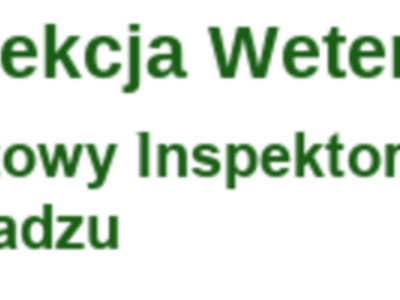 inspekcja