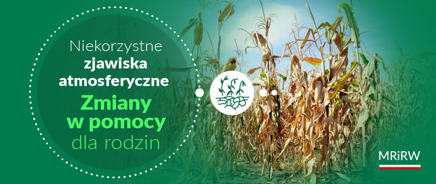  pomocy dla rodzin rolniczych