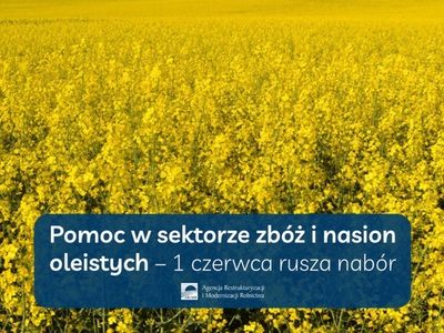 Pomoc w sektorze zbóż i nasion oleistych