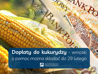 Dopłaty do kukurydzy