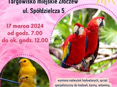 plakat giełda