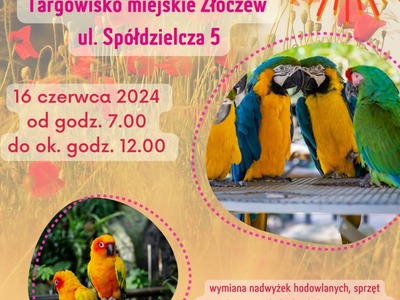 plakat Giełda