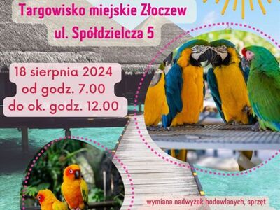 plakat giełdy