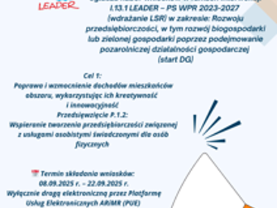 plakat LGD