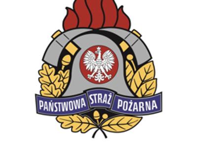 logo psp konin