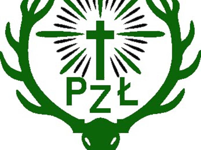 logo pzł